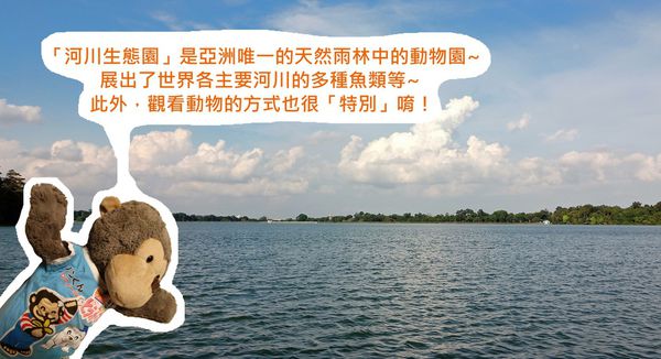 【新加坡】★★★☆☆ 河川生態園-天然雨林中的河川動物園！