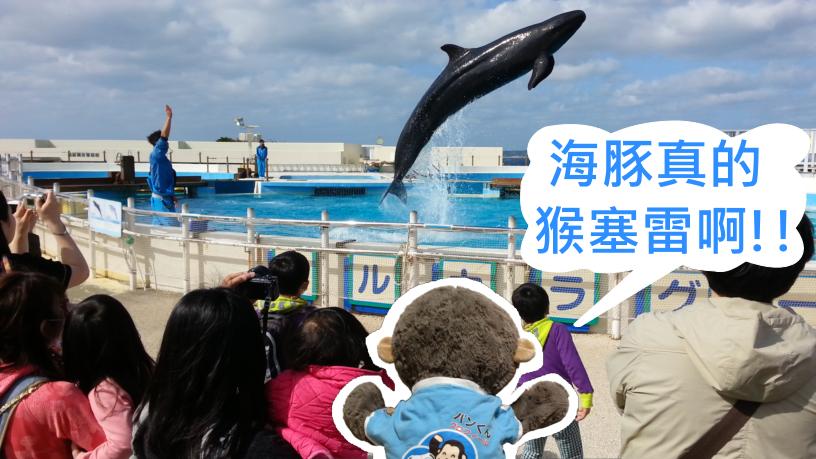 【日本．沖繩】★★★★★ 海洋博公園-有免費的海豚表演唷！
