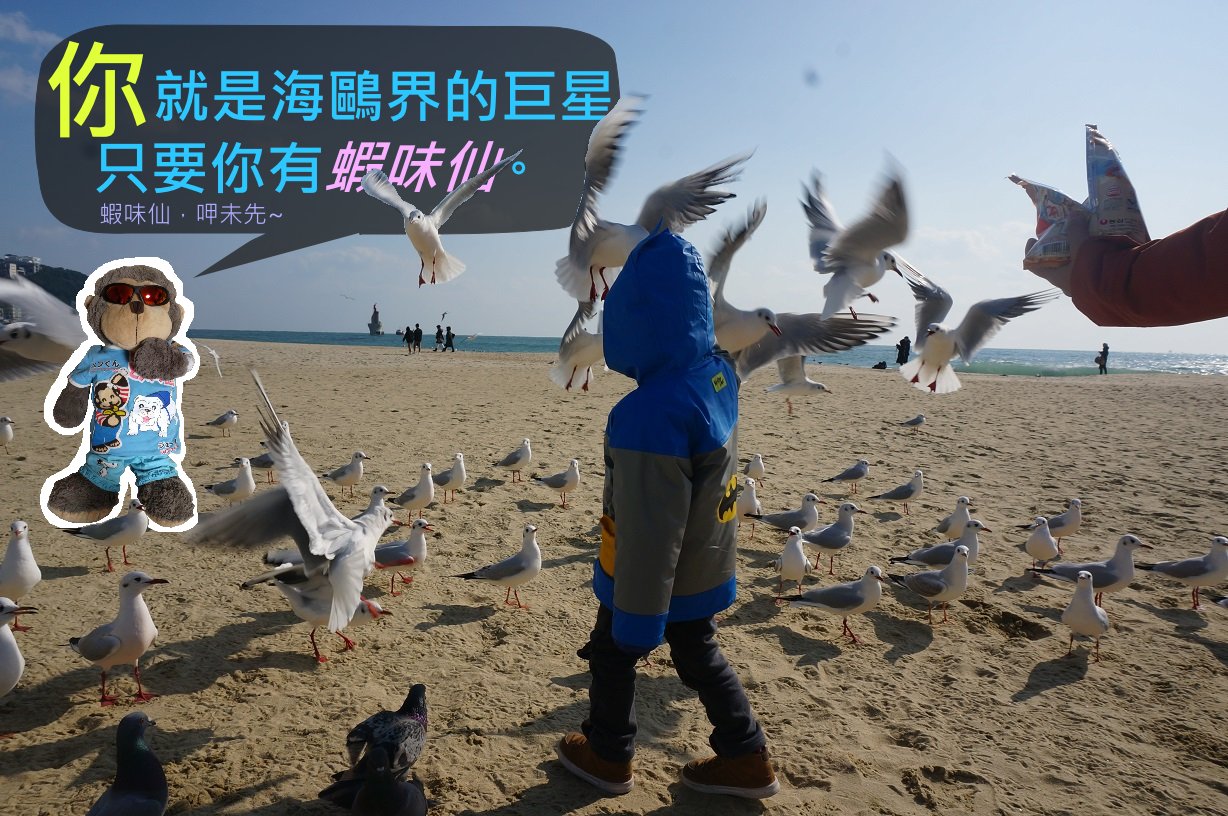 【韓國．釜山】★★★★☆ 海雲台海灘-餵食海鷗超好玩！
